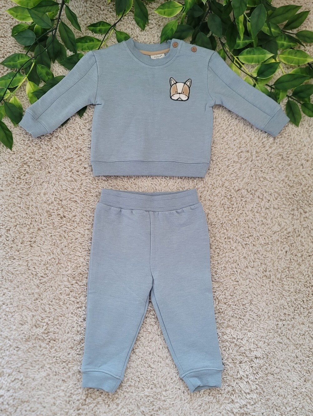 Baby Boy Light Blue Puppy Outfit (6-9 Months)